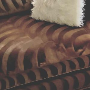 WhatsApp Image 2025-03-19 at 16.40.25_94260cbb