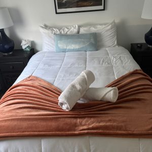 WhatsApp Image 2025-05-23 at 07.41.34_ed631cc4