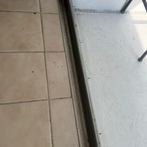 WhatsApp Image 2025-11-18 at 10.50.41 AM