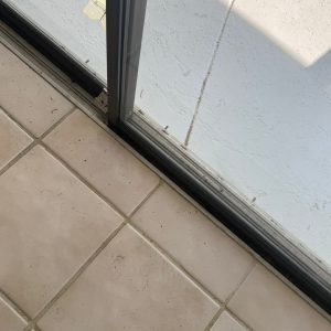 WhatsApp Image 2025-11-18 at 10.50.42 AM